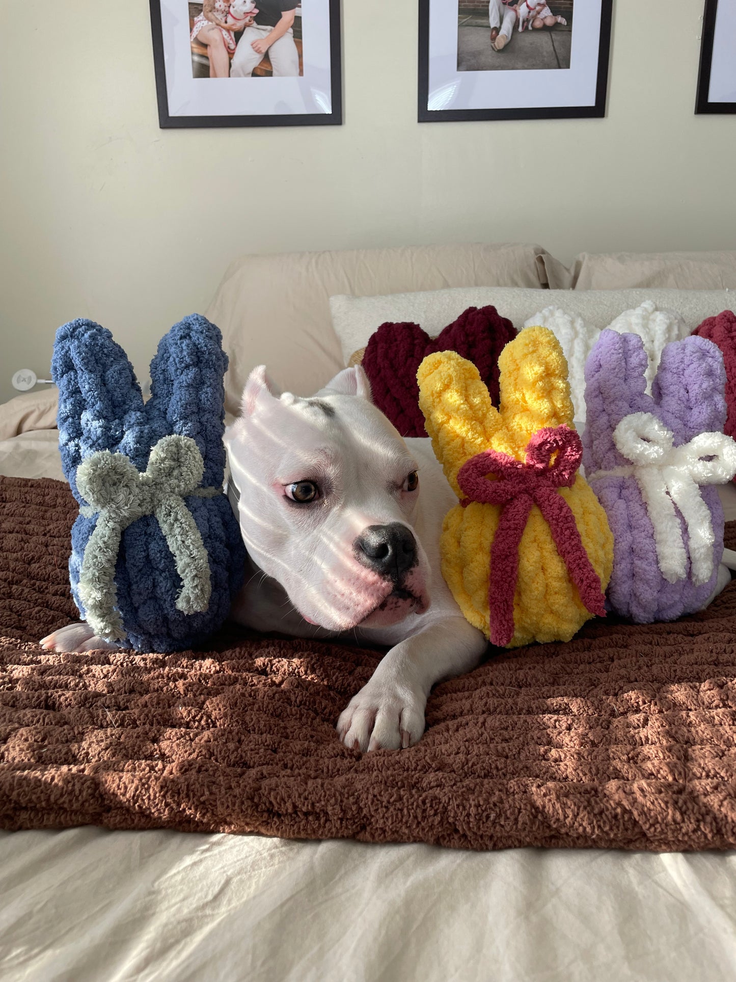 Chunky Knit Peep Bunny Class- Woodland Farm Brewery